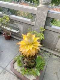 廈門石室禪院｜莫向外求，但從心覓