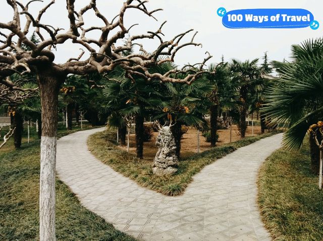 100 Ways of Travel in Xianyang