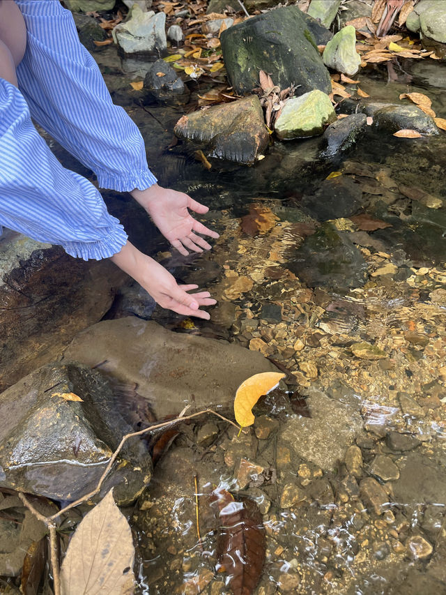 佛山｜無人知曉的綠寶石天池免費好玩