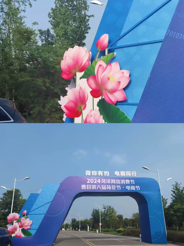 打卡萬畝荷塘，為荷而來