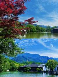 九華山涵月樓|隱匿朝聖之地的園林秘酒店。
