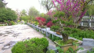 Huazhou Academy, Henan: A thousand-year-old courtyard with endless music.