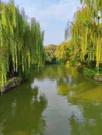 頤和園，皇家園林典範，適合秋遊