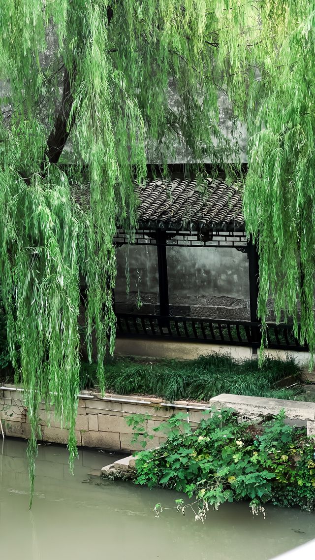 梅花洲怎麼變成綠野仙蹤了。