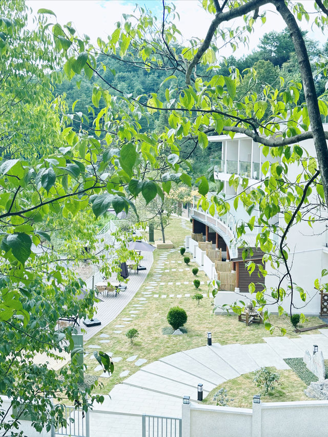 廣元曾家山•寶藏民宿。