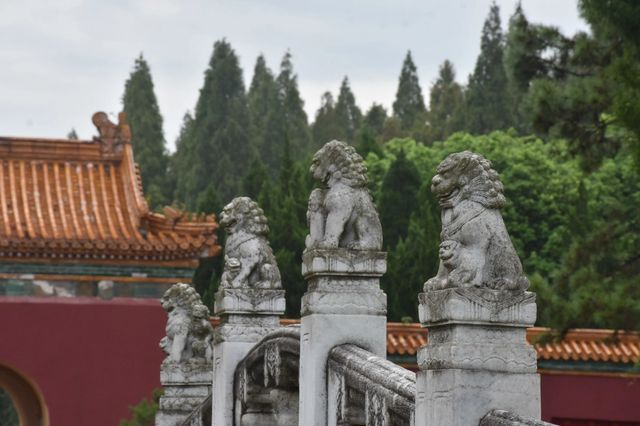 湖北荆門明顯陵｜氣派的古代園陵。