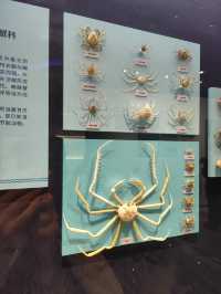 景點攻略：大連自然博物館。
