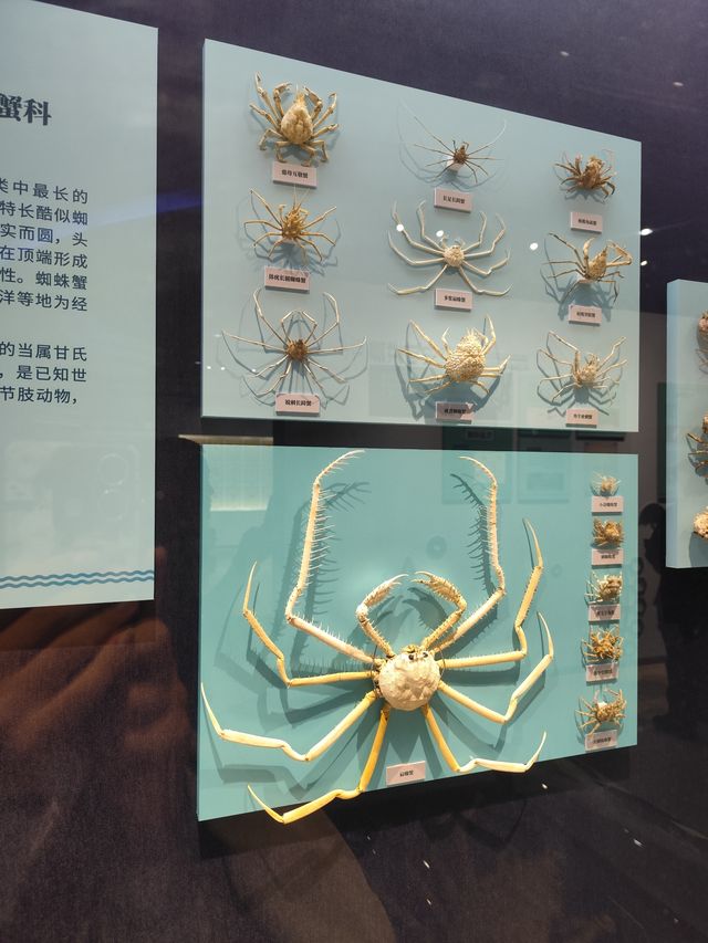 景點攻略：大連自然博物館。