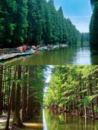 水上森林公園，您沒有來，那可就虧大了。