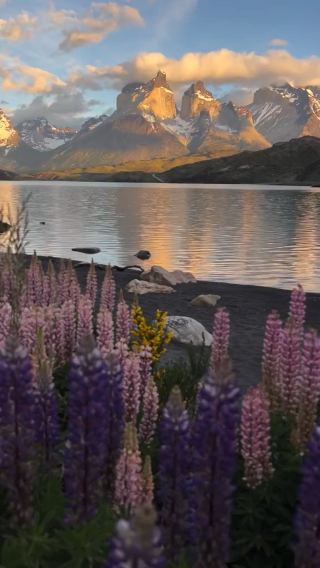 Experience nature at Torres del Paine national park 