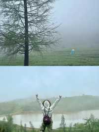 江西人自己的瑞士花園｜比武功山更美值得一遊。