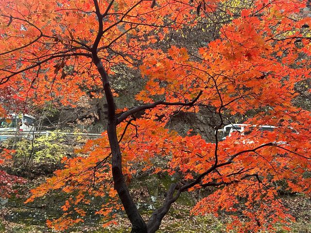 遼寧本溪關門山｜中國楓葉之都。