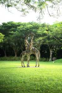 總有一次在公園相遇吧，我怕我會愛上這裡。