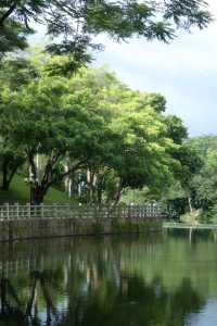總有一次在公園相遇吧，我怕我會愛上這裡。