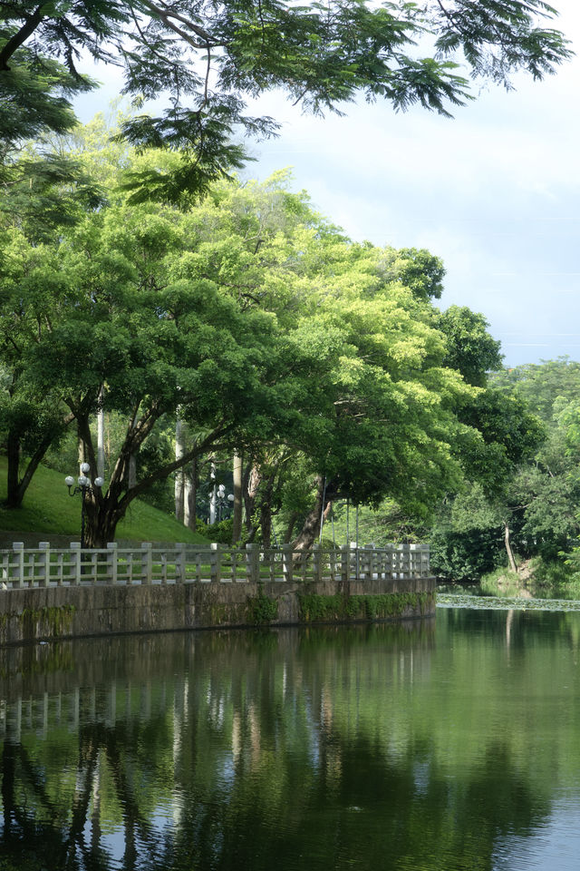 總有一次在公園相遇吧，我怕我會愛上這裡。
