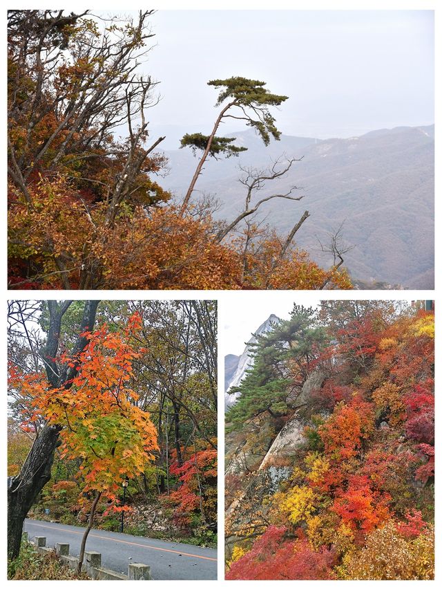 丹東鳳城鳳凰山，秋賞紅葉漫山遍野，層林盡染色彩斑斕。