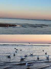 𓅯ˎˊ 秋冬的小島 —— 在海邊「餵海鷗」 。