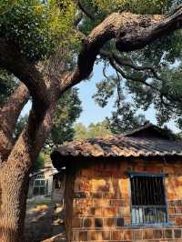 比起景德鎮，我更喜歡長沙這座寶藏小城。