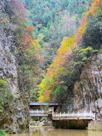 西狹頌紅葉盛景：秋韻中的歷史低吟