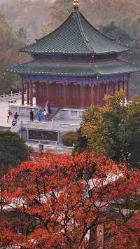 根本不敢想，錯過興慶公園的秋天我有多遺憾。