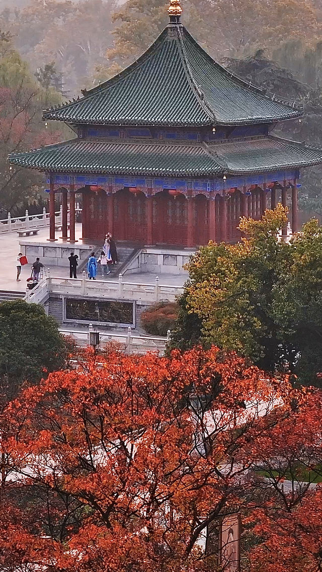 根本不敢想，錯過興慶公園的秋天我有多遺憾。