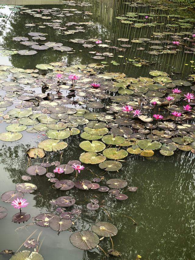 陽朔三日遊，同兄弟嗨翻天嘅完美行程。