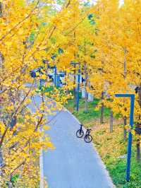 雁南公園 | 深秋初冬浪漫遊玩全攻略。