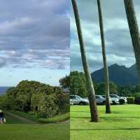 考艾島旅遊攻略。
