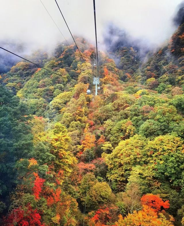 秋日遊玩觀賞聖地——哈爾濱香爐山。