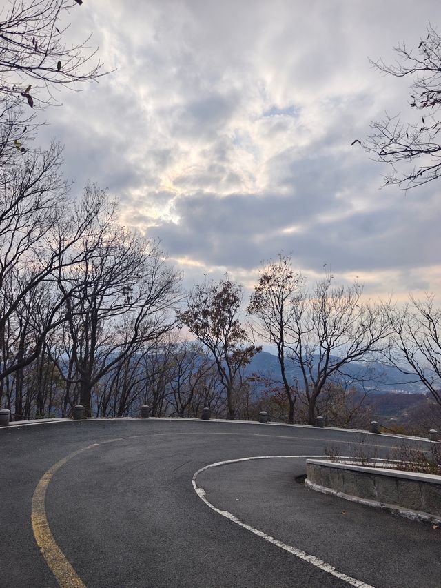 來花果山看猴王了。