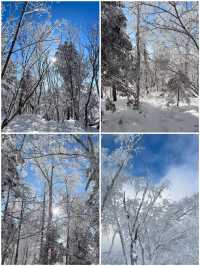 到哈爾濱一定要去雪谷看霧凇追日落｜附攻略。