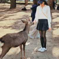 🦌 Oh deer! Looks like Nara just stole my heart😍♥️