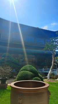 虔誠一日遊。