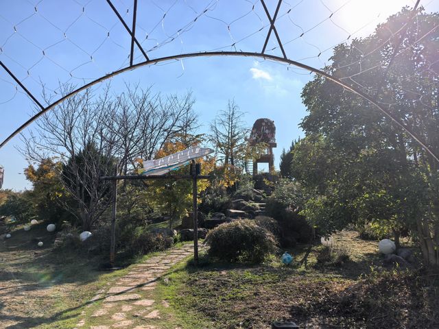 九龍灣花星球，邂逅浪漫花海奇境 