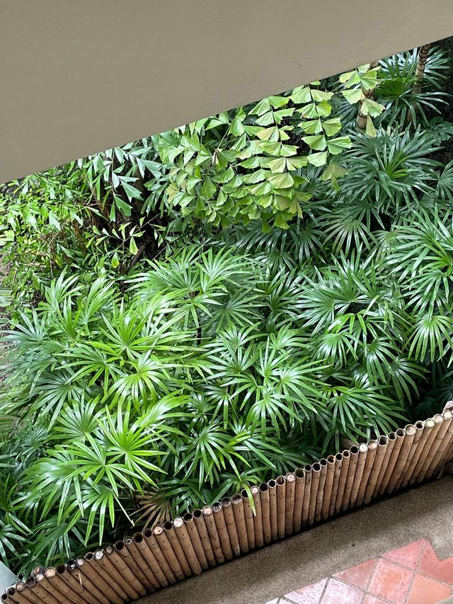 邁考 | 非凡的親子之選