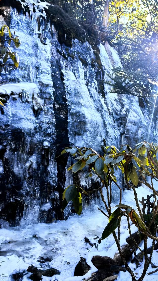 螺髻山下雪了