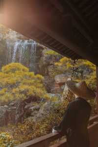 韶關雲門寺旅行攻略，禪宗名剎的靜心之旅