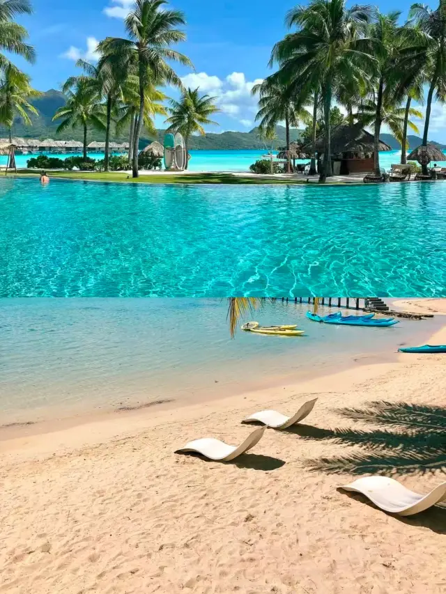 Tahiti: The Ultimate Island King