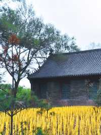 吉林四平|葉赫那拉古城•古城探尋滿族文化