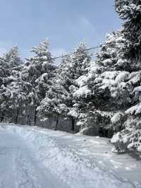 西安秦嶺｜最美不過的第一場雪景