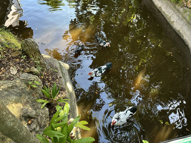 大島上的小植物園，人氣秘境