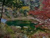 栗又の淹｜養老溪谷紅葉狩