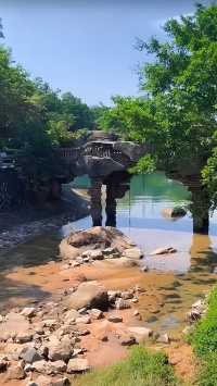 金台寺周邊旅遊攻略