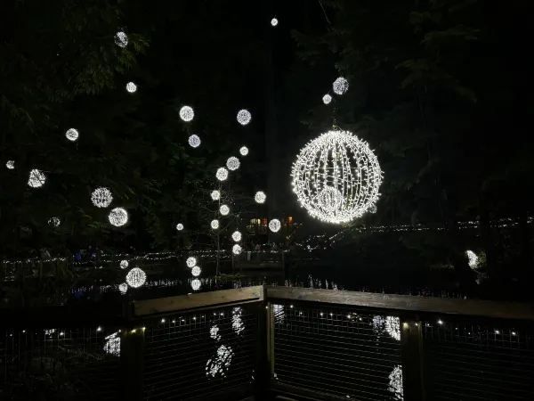 Capilano Suspension Bridge Park during Christmas Month