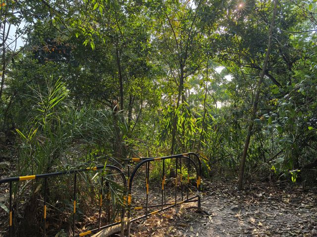 白沙隕石坑