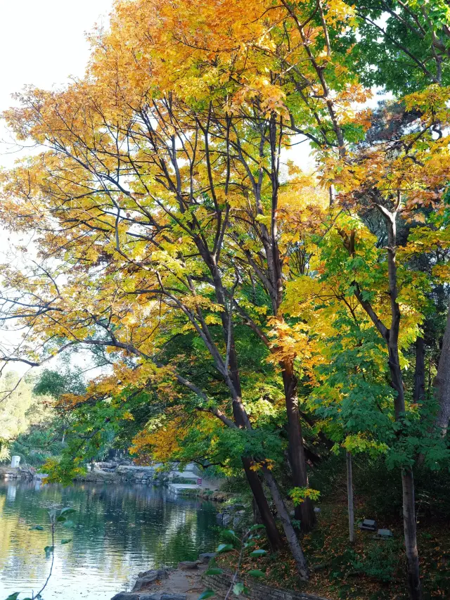 別找了 這就是很火的北京5日遊攻略