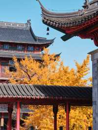 秋天來南京，錯過毗盧寺的銀杏該有多遺憾？