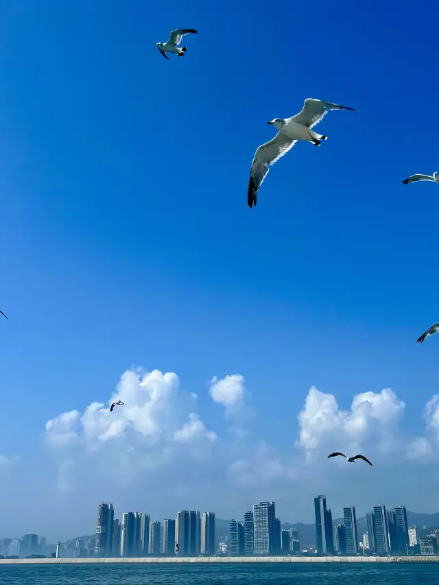 4-Day Trip to Qingdao, Weihai, and Yantai: The Best Way to Enjoy Hot Springs