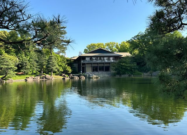 我在名古屋的寶藏發現｜德川園，每一步都是驚喜的園林之旅