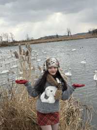 太浪漫啦!嚟威海睇海睇雪啦~